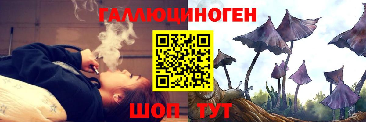 Псилоцибиновые грибы Psilocybe  Вход с VPN  Ухта 